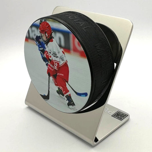 Eishockey - Puckhalter Hochglanz