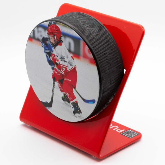 Eishockey - Puckhalter Rot