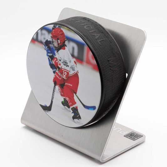 Eishockey - Puckhalter Gebürstet