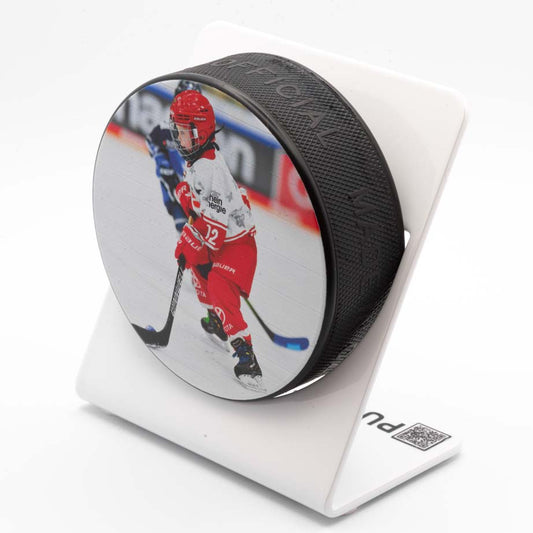 Eishockey - Puckhalter Weiß